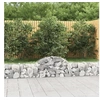 Image de Schanskorven 10 st gewelfd 200x30x40/60 cm gegalvaniseerd ijzer3146055