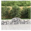 Image de Schanskorven 12 st gewelfd 200x50x40/60 cm gegalvaniseerd ijzer3146267