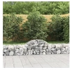 Image de Schanskorven 40 st gewelfd 200x50x40/60 cm ijzer3146275