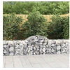 Image de Schanskorven 20 st gewelfd 200x50x60/80 cm gegalvaniseerd ijzer3146293