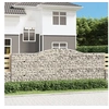 Image de Schanskorven 2 st gewelfd 400x50x140/160 cm ijzer3147022