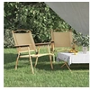 Image de Chaises de camping lot de 2 Beige 54x55x78 cm Tissu Oxford