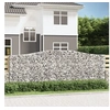 Image de Panier de gabions arqué 400x30x140 160 cm Fer galvanisé