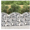 Image de Schanskorf gewelfd 100x50x80/100 cm gegalvaniseerd ijzer153434