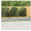 Image de Lit Surélevé à Gabions Arqué, Panier de Gabion d'Extérieur, Cage à Gabions de Terrasse, Barrière de Jardin, 800x50x50 153545