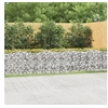 Image de Lit surélevé à gabions arqué 800x50x100 cm Fer galvanisé