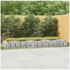 Image de Lit Surélevé à Gabions Arqué, Jardinière en Gabion, Panier à Gabion Jardin Terrasse Patio Extérieur, 400x100x50 cm 153551