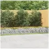 Image de Lit Surélevé à Gabions Arqué, Panier de Gabions Pour Plantes, Jardinière de Jardin Patio Terrasse, 600x100x50 cm Fer 153552