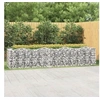 Image de Lit surélevé à gabions arqué 400x100x100 cm Fer galvanisé
