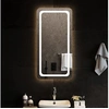 Image de Badkamerspiegel LED 50x100 cm3154101