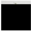 Image de Meuble TV mural Blanc brillant 40x34,5x80 cm816674