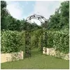Image de Tuinboog 116x45x240 cm staal zwart319350