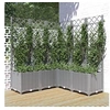 Image de Jardinière avec treillis Gris clair 120x120x136 cm PP 153278