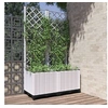Image de Jardinière avec treillis Blanc 80x40x136 cm PP 153282