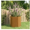 Image de Jardinière Rouillé 40x40x45 cm Acier corten