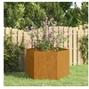 Image de Jardinière Rouillé 60x60x45 cm Acier corten