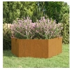 Image de Jardinière Rouillé 138x120x45 cm Acier corten