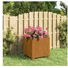Image de Jardinière avec pieds Rouillé 32x30x33 cm Acier corten 823678