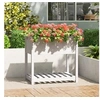 Image de Jardinière avec étagère Blanc 82,5x54x81 cm Bois massif de pin 823781