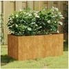 Image de Jardinière 80x40x40 cm acier corten