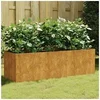 Image de Lit surélevé de jardin 120x40x40 cm acier corten