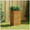 Image de Jardinière 40x40x80 cm acier corten