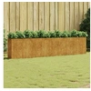 Image de Lit surélevé de jardin 360x40x80 cm acier corten