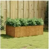 Image de Lit surélevé de jardin 120x80x40 cm acier corten