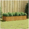 Image de Lit surélevé de jardin 200x80x40 cm acier corten