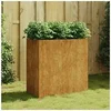 Image de Plantenbak 40x80x80 cm cortenstaal824536