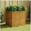 Image de Jardinière 80x80x80 cm acier corten824537