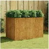 Image de Plantenbak verhoogd 120x80x80 cm cortenstaal824538