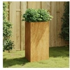 Image de Jardinière 50x43x75 cm acier corten
