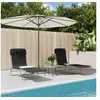 Image de Chaises longues pliables lot de 2 noir textilène et acier