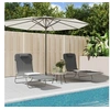 Image de Chaises longues pliables lot de 2 gris textilène et acier
