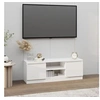 Image de Meuble TV avec porte Blanc 102x30x36 cm