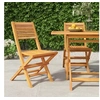 Image de Chaises de jardin pliantes lot de 2 47x62x90cm bois massif teck