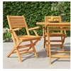 Image de Chaises de jardin pliantes lot de 2 55x62x90cm bois massif teck