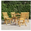 Image de Chaises de jardin pliantes lot de 4 47x63x90cm bois massif teck3155046