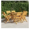 Image de Chaises de jardin pliantes lot de 6 55x62x90cm bois massif teck3155068
