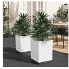 Image de Jardinières 2 pcs blanc 30x30x37 cm polypropylène364183