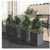 Image de Jardinières 4 pcs noir 30x30x37 cm polypropylène 364187