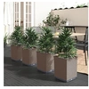 Image de Jardinières 4 pcs marron 30x30x37 cm polypropylène