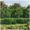 Image de Draadgaashek 2,2x25 m gegalvaniseerd staal groen154063