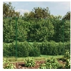 Image de Draadgaashek met grondankers 1,4x25 m groen154107