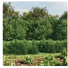 Image de Draadgaashek met grondankers 2x25 m groen154110