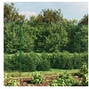 Image de Draadgaashek met flens 1,8x25 m groen154157