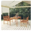 Image de 3-delige Tuinset massief teakhout3157150
