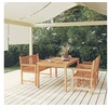 Image de 4-delige Tuinset massief teakhout3157166