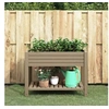 Image de Lit surélevé de jardin marron clair 110x45x79 cm polypropylène